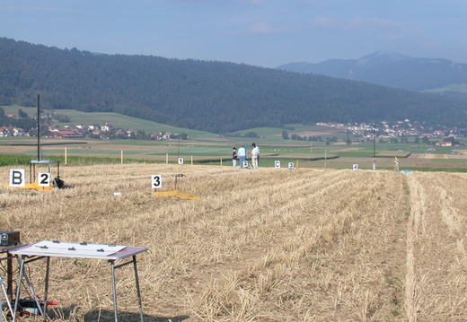 DSCN0017