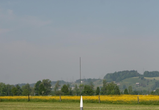 IMG 2253