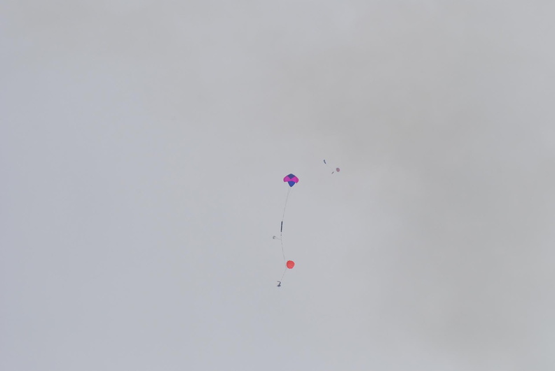 DSC_0220.JPG