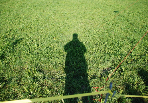 DSC 0239