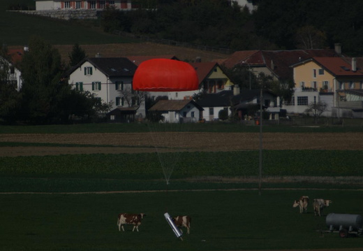 LZ8M0206