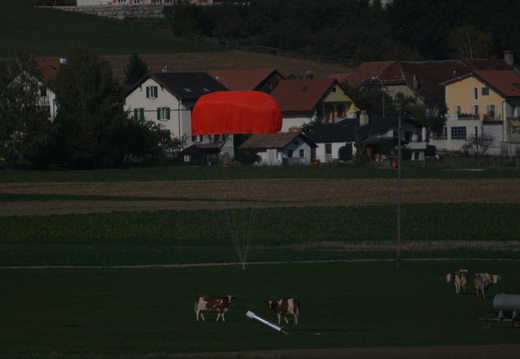 LZ8M0208