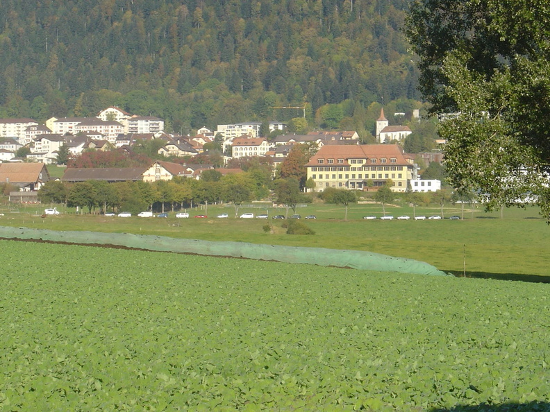 DSC00220.JPG