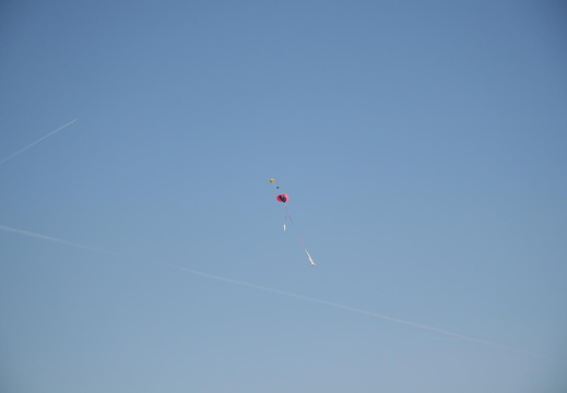 IMG 4106