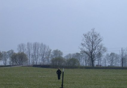 Dscn3113