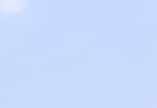 P8180119