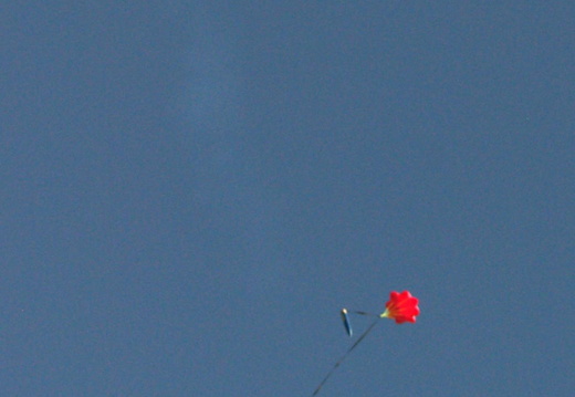 IMGP0470c