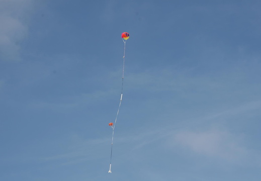 IMG 1716