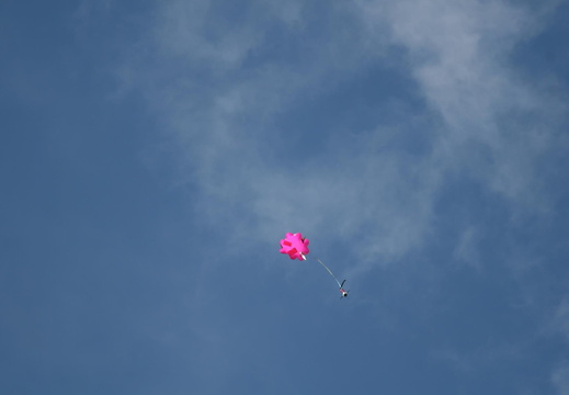 IMG 2697