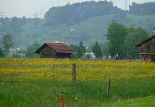 P1020390
