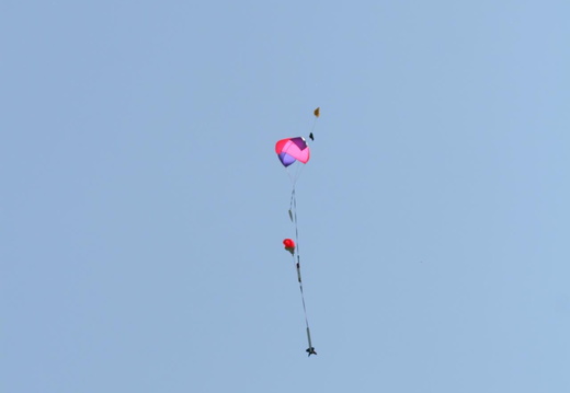 IMG 5515