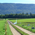 DSC 0054