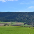 DSC 0067