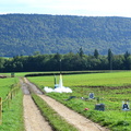 DSC 0073