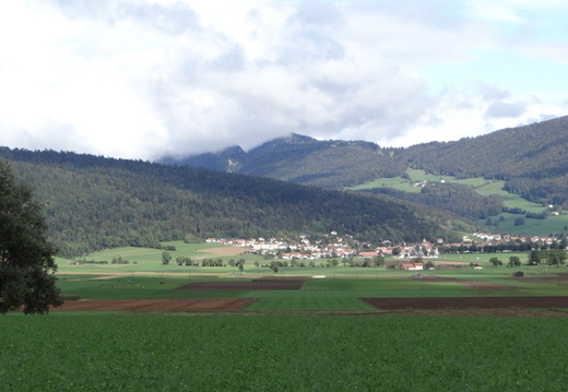 DSC04247
