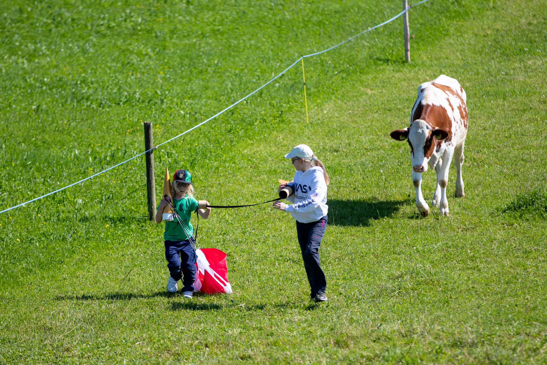 03 Recovery mit Kuh 202405